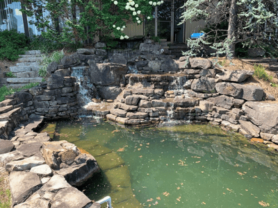 Creek Beds & Ponds